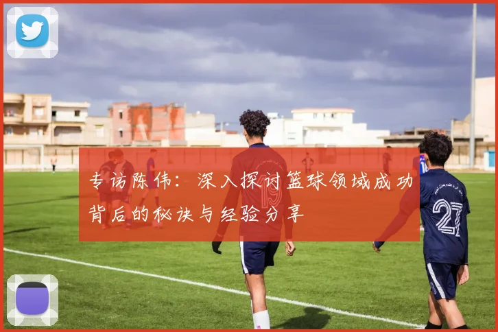 专访陈伟：深入探讨篮球领域成功背后的秘诀与经验分享