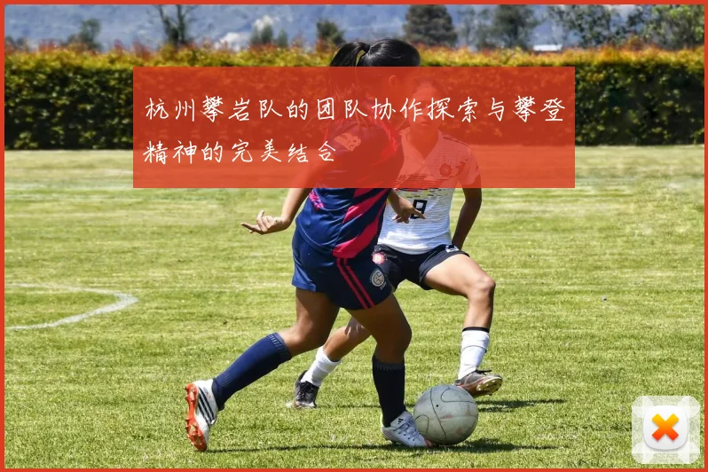 杭州攀岩队的团队协作探索与攀登精神的完美结合